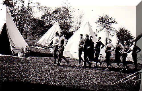 cus10030.jpg (88346 bytes)