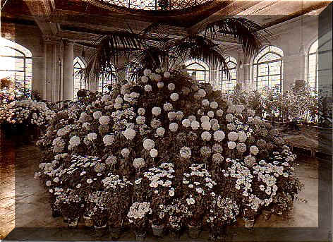 cus10048.jpg (97740 bytes)