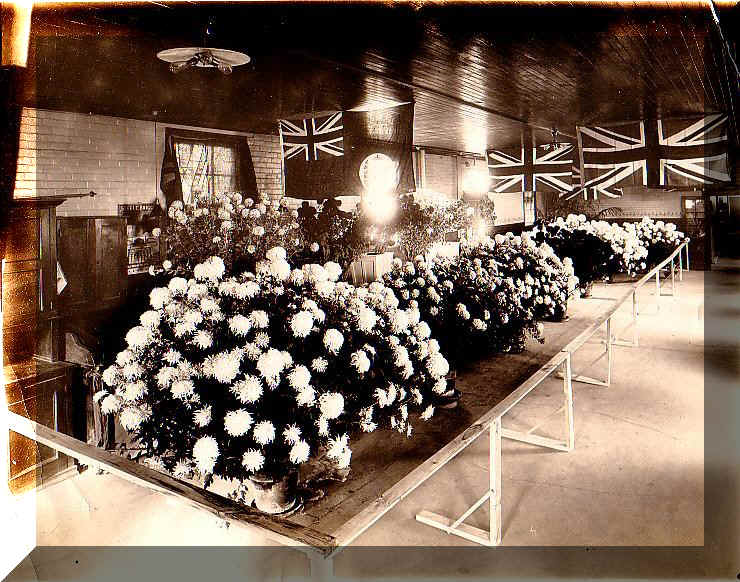 cus10049.jpg (194440 bytes)