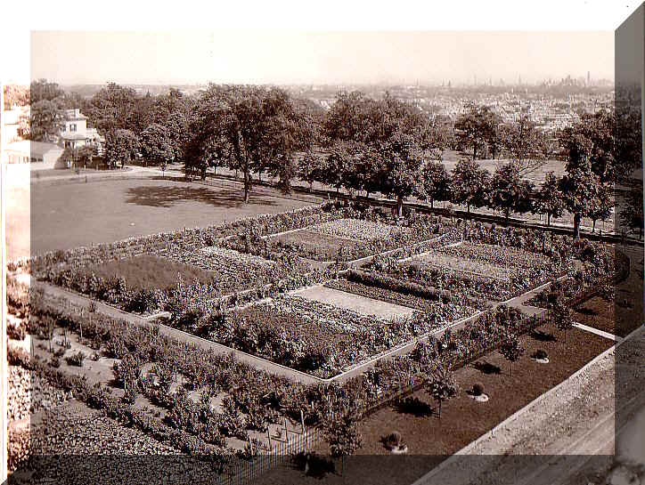 cus10062.jpg (216549 bytes)