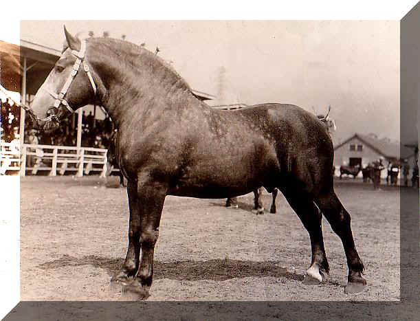 The stables at Casa Loma, home to Sir Henry Pellatt's prize horses